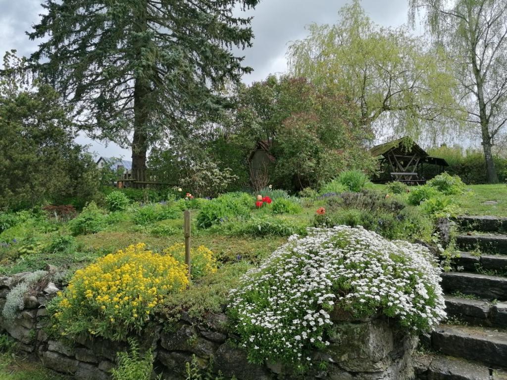 Ruestzeitenheim Sonnenschein Saalburg Exterior foto